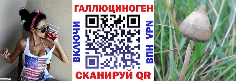 гидра маркетплейс  Власиха  Галлюциногенные грибы Cubensis  цена  