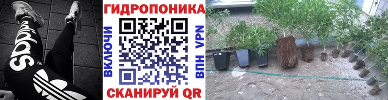 Конопля MAZAR  сколько стоит  Власиха 